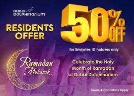 Dubai Dolphinarium offer
