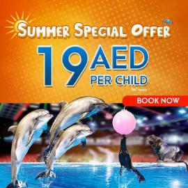 Dubai Dolphinarium offer